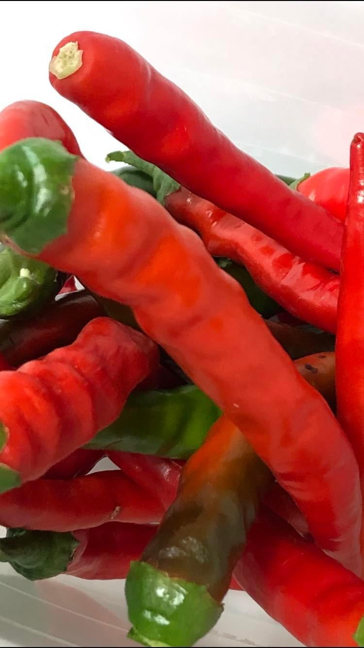 Hot Sauce 8 oz Jar