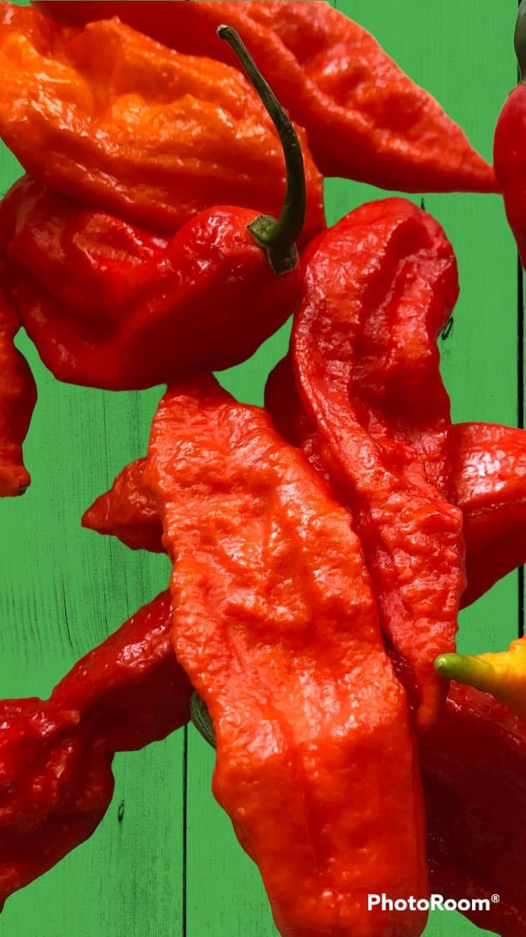 Dehydrated Ghost Peppers .5oz bag