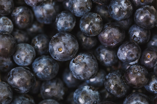 Blueberry Jam 8oz π«