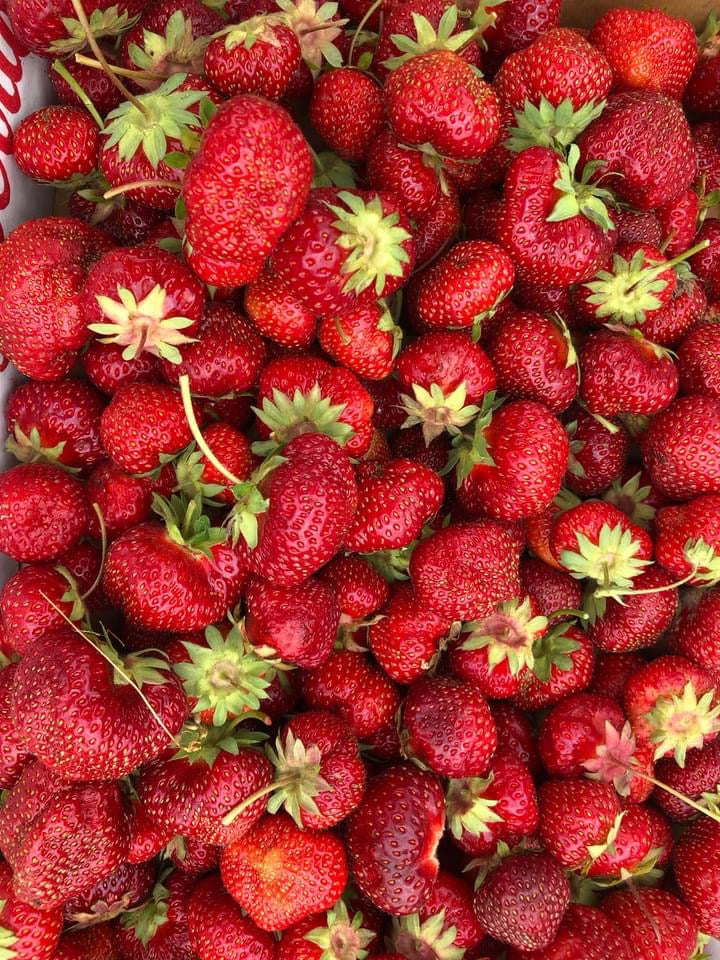 Strawberry Jelly 16oz Jar 🍓🍓