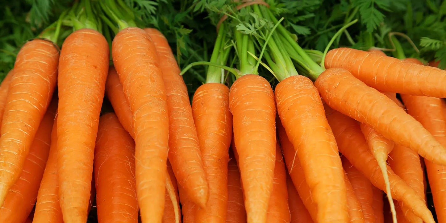 Carrot Cake Jam 🥕🥥 8oz