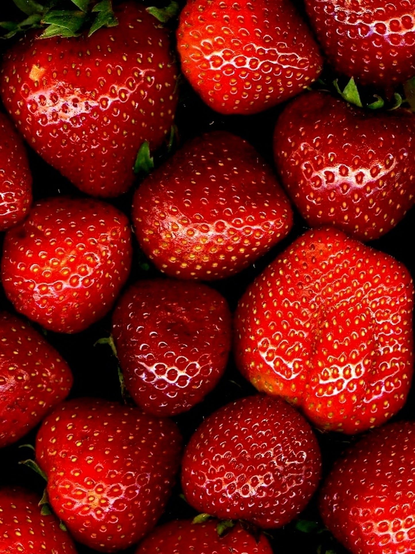 Strawberry Jelly 16oz Jar 🍓🍓